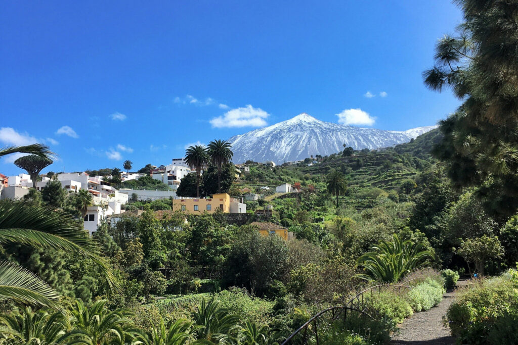 Tenerife Premium Tours Footer