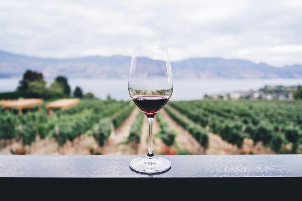 Premium Tour with Winetasting