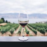 Premium Tour with Winetasting