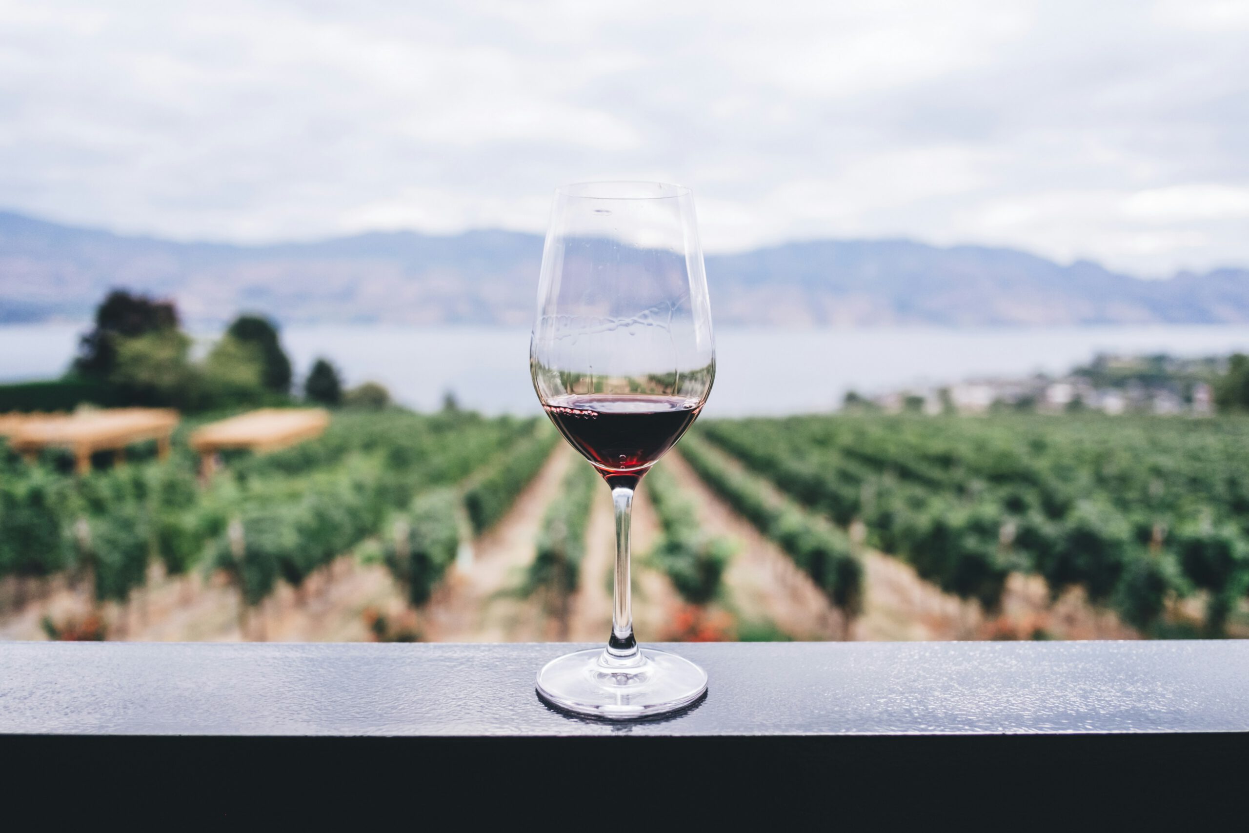 Premium Tour with Winetasting