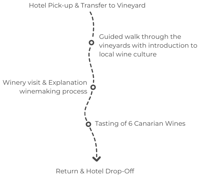 Vineyard Tour Tenerife with Wine Tasting
